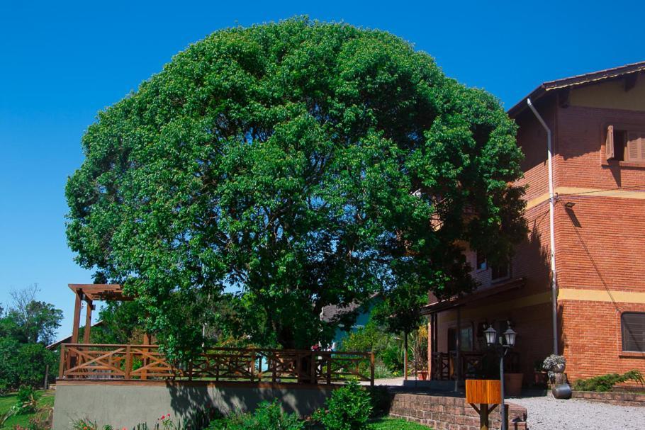 Pousada Villa Romantica Nova Petrópolis Kültér fotó