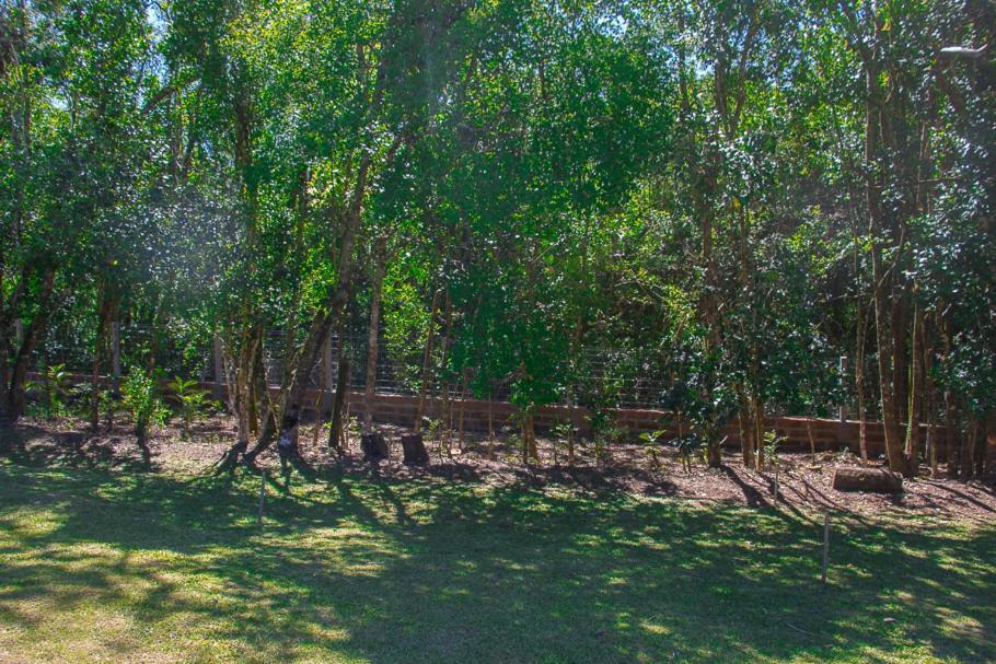 Pousada Villa Romantica Nova Petrópolis Kültér fotó